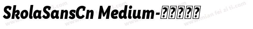 SkolaSansCn Medium字体转换